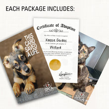 Load image into Gallery viewer, Symbolic Adoption: Cat