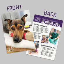Load image into Gallery viewer, Sponsor an Injured Pet