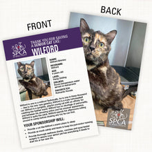 Load image into Gallery viewer, Symbolic Adoption: Cat