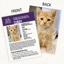 Load image into Gallery viewer, Symbolic Adoption: Kitten