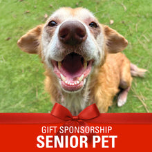 Load image into Gallery viewer, Sponsor a Senior Pet