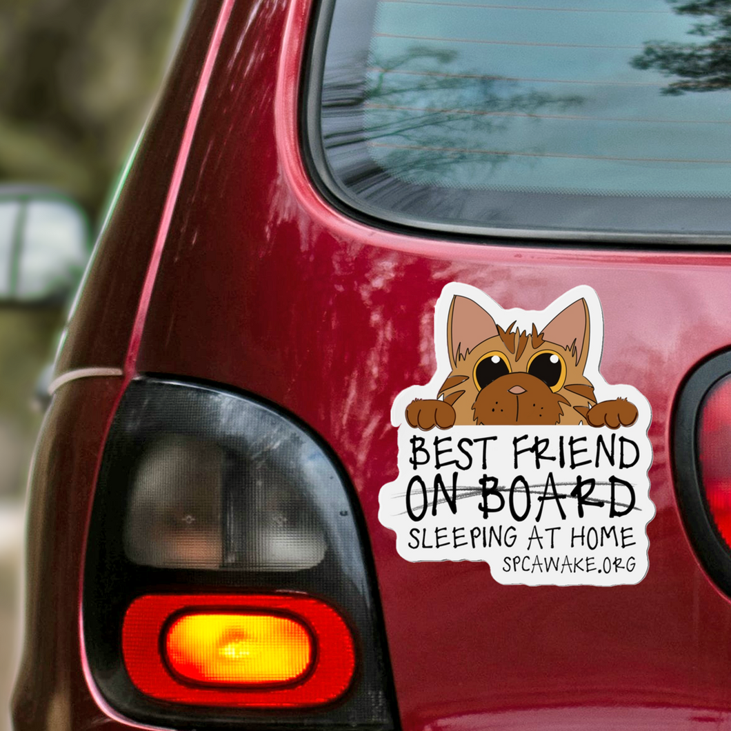 Best Friend Sleeping at Home — Car Magnet