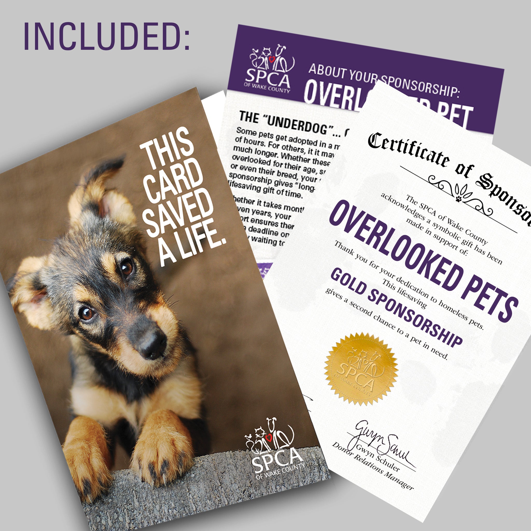 Second Chance Find Me A Dog To Adopt Underdog Rescue Dog