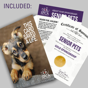 Gift Sponsorship: Senior Pets