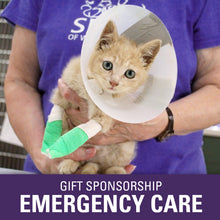 Load image into Gallery viewer, Gift Sponsorship: Emergency Care
