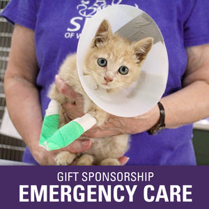 Gift Sponsorship: Emergency Care