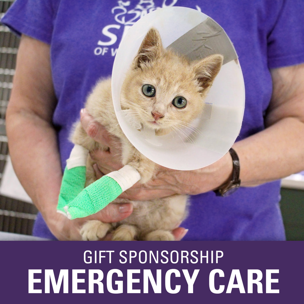 Gift Sponsorship: Emergency Care