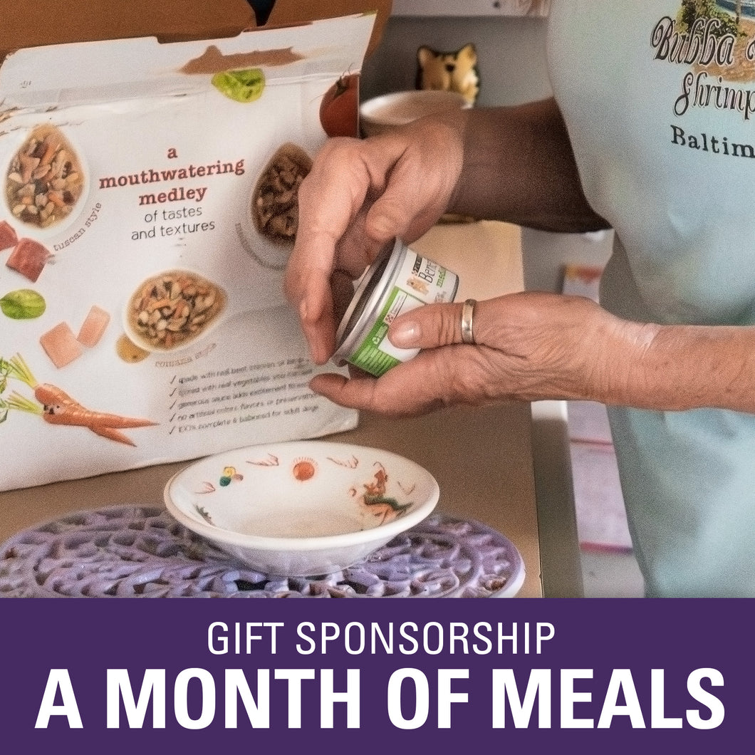 Gift Sponsorship: Month of Meals