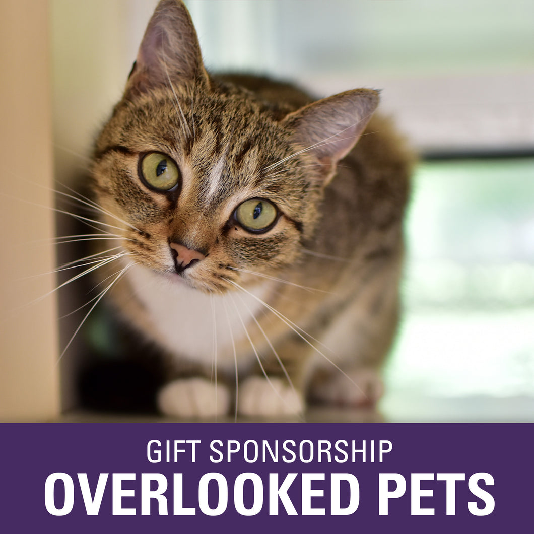 Gift Sponsorship: Overlooked Pets