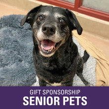 Load image into Gallery viewer, Gift Sponsorship: Senior Pets
