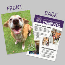 Load image into Gallery viewer, Sponsor a Senior Pet

