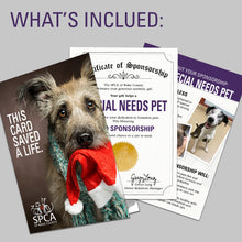 Load image into Gallery viewer, Sponsor a Special Needs Pet
