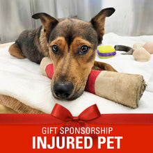Load image into Gallery viewer, Sponsor an Injured Pet
