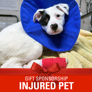 Sponsor an Injured Pet