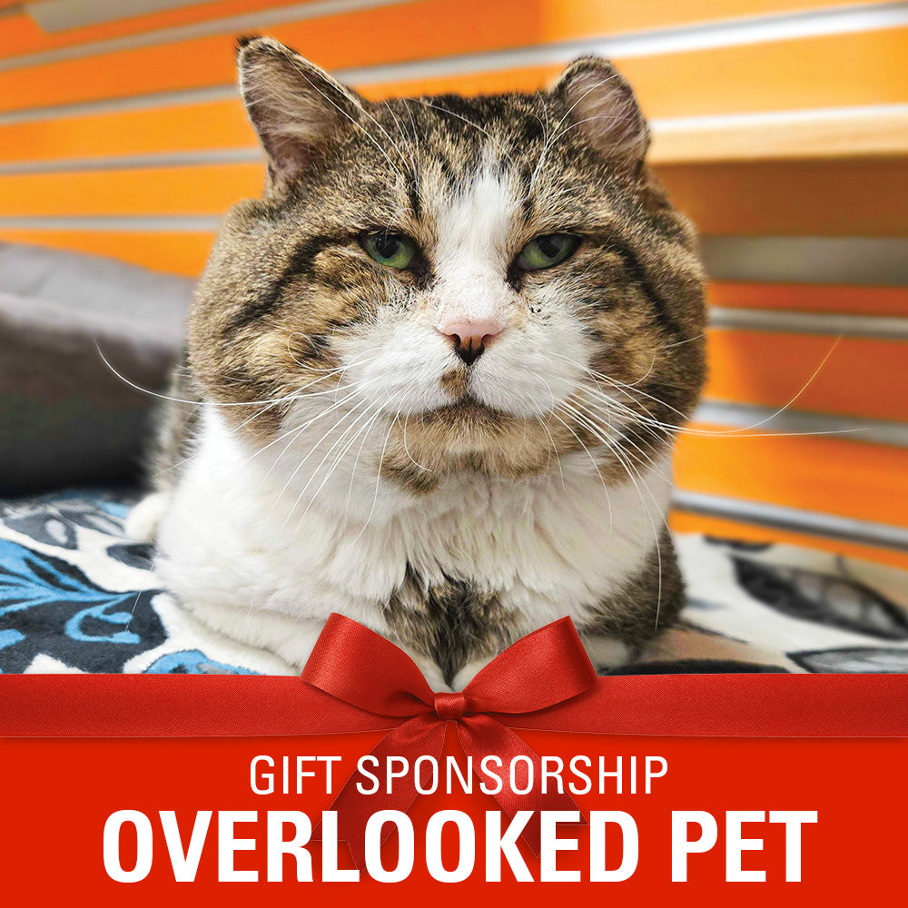 Sponsor an Overlooked Pet