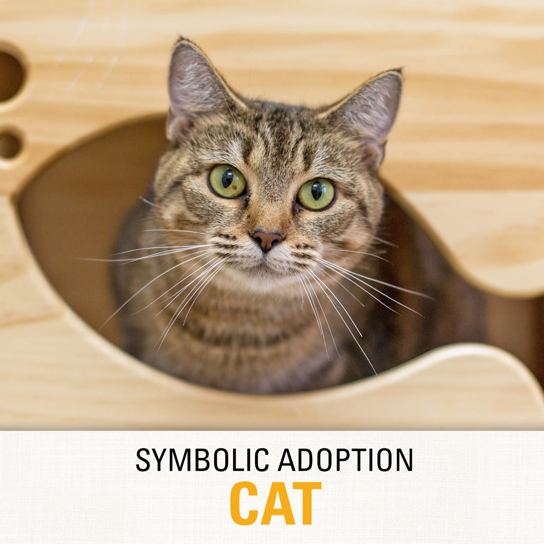 Symbolic Adoption: Cat