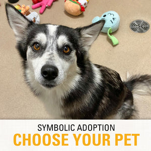Symbolic Adoption: Choose Your Pet
