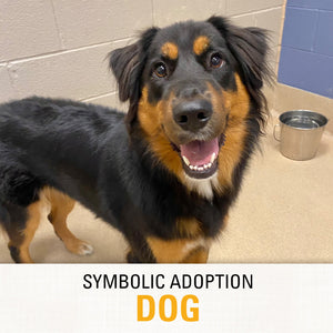 Symbolic Adoption: Dog