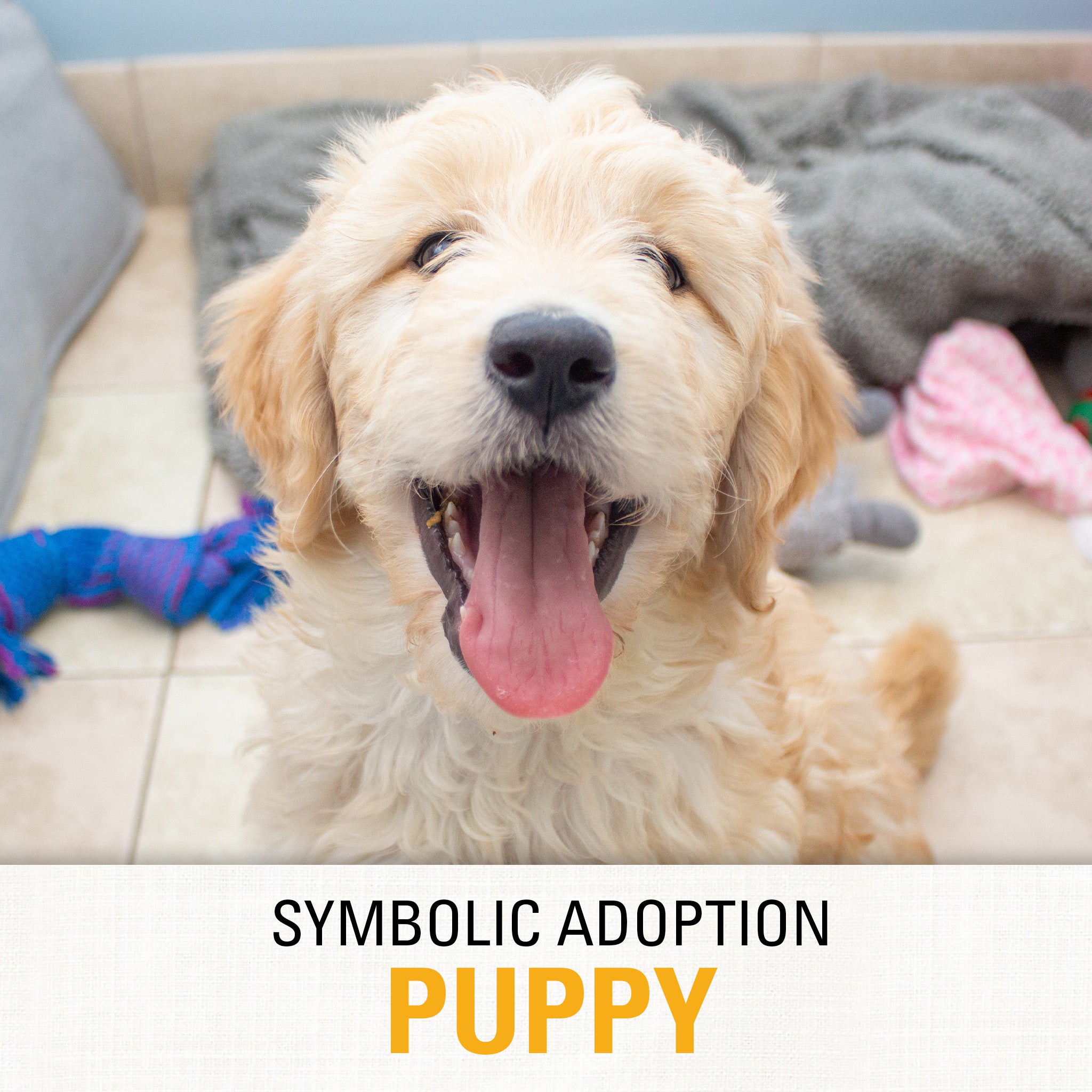 Symbolic Adoption: Puppy – SPCA Wake - Main Image