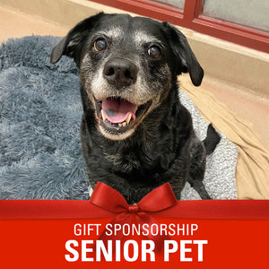 Sponsor a Senior Pet