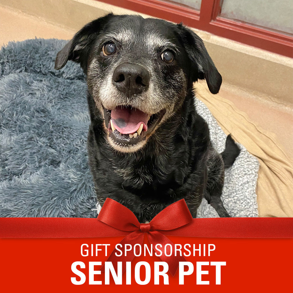 Sponsor a Senior Pet