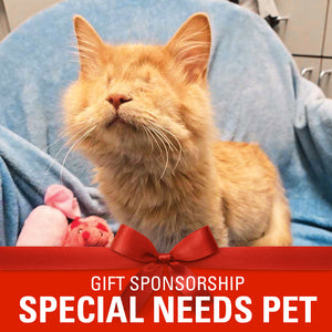 Sponsor a Special Needs Pet